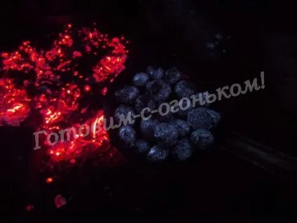 Молода картопля на багатті (вогнищі) Молода картопля на багатті