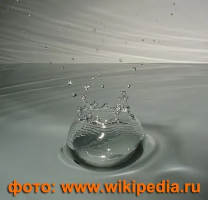 Мобільна твір на тему краса води для 2 класу (замовлення дипломної) Мобільна твір на тему краса води для 2 класу