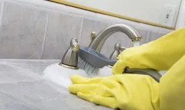 Комахи у ванній кімнаті і туалеті які бувають і як їх вивести (туалеті) Комахи у ванній кімнаті і туалеті які бувають і як їх вивести