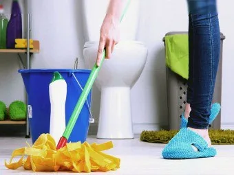 Комахи у ванній кімнаті і туалеті які бувають і як їх вивести (комаха ванна білий туалет кімната жити вогкість які поява) Комахи у ванній кімнаті і туалеті які бувають і як їх вивести