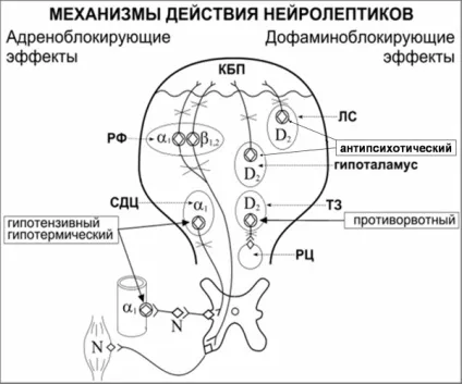 Нейролептичний синдром у хворих на алкоголізм види, симптоми і ознаки, лікування і діагностика (синдром) Нейролептичний синдром у хворих на алкоголізм види, симптоми і ознаки, лікування і діагностика