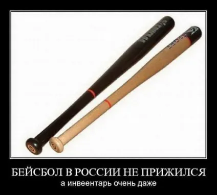 Чи можна возити біту в машині