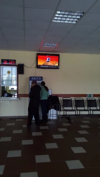 Плутанина в гибдд