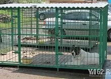 Один день з Зоозахисниця (день) Один день з Зоозахисниця