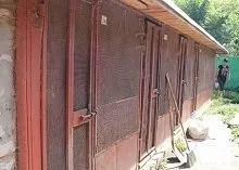 Один день з Зоозахисниця (зоозахисники) Один день з Зоозахисниця