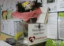 Один день з Зоозахисниця (Зоозахисниця) Один день з Зоозахисниця