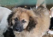 Один день з Зоозахисниця (один) Один день з Зоозахисниця