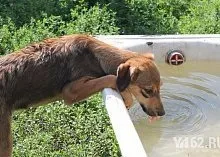 Один день з Зоозахисниця (один) Один день з Зоозахисниця