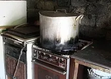 Один день з Зоозахисниця (кращі друзі) Один день з Зоозахисниця