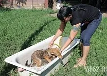 Один день з Зоозахисниця (кращі друзі) Один день з Зоозахисниця