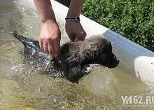 Один день з Зоозахисниця (Зоозахисниця) Один день з Зоозахисниця