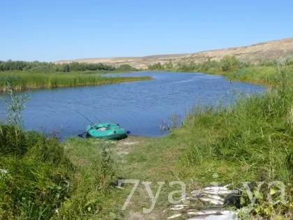 Відцеп для блешень своїми руками завжди поруч пляшка (блешень) Відцеп для блешень своїми руками завжди поруч пляшка