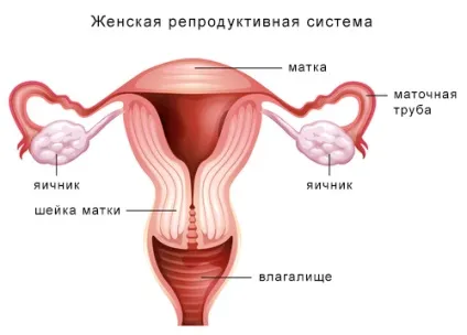 Відшарування плаценти причини, симптоми, лікування