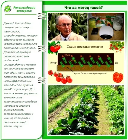 Город по Мітлайдера правильне облаштування технічні нюанси (як облаштувати город по Мітлайдера) Город по Мітлайдера правильне облаштування технічні нюанси