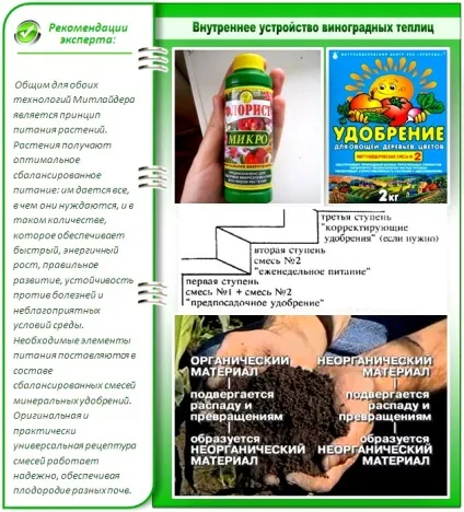 Город по Мітлайдера правильне облаштування технічні нюанси (город) Город по Мітлайдера правильне облаштування технічні нюанси