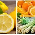 Ефірні масла від бліх в квартирі (масла) Ефірні масла від бліх в квартирі