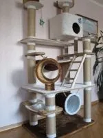 Єгипетська кішка