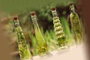 Ефірні масла від бліх евкаліпт, чайне дерево, лаванда та інші (масла) Ефірні масла від бліх евкаліпт, чайне дерево, лаванда та інші