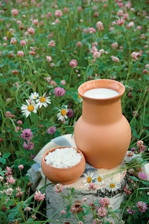 Екологічно чисті продукти повернення до природи - woman s day (продукти) Екологічно чисті продукти повернення до природи - woman s day