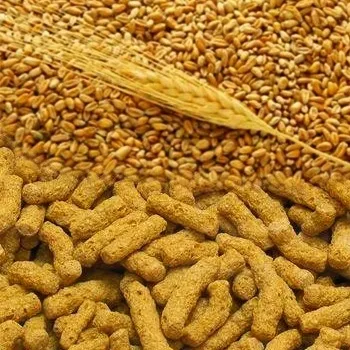 Екструдер кормовий для інтенсивного вирощування свиней (сільськогосподарських тварин птахів) Екструдер кормовий для інтенсивного вирощування свиней