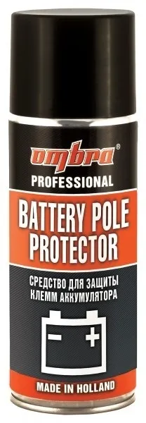 Причини окислення клем акумулятора, а також способи захисту їх від утворення білого нальоту (причини) Причини окислення клем акумулятора, а також способи захисту їх від утворення білого нальоту