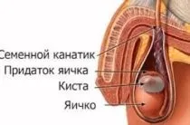 Підвищений пульс у чоловіків