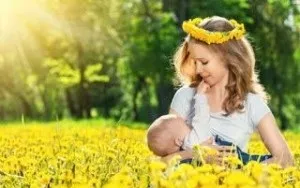 Підвищення лактації народними засобами (лактації) Підвищення лактації народними засобами