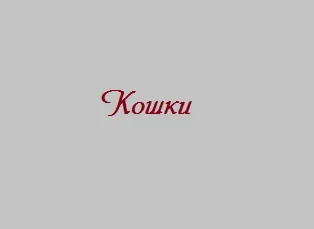 Схожа на миша - тварина землеройкасвой будиночок в селі (тварина землерийка) Схожа на миша - тварина землеройкасвой будиночок в селі