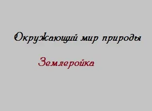 Схожа на миша - тварина землеройкасвой будиночок в селі (миша) Схожа на миша - тварина землеройкасвой будиночок в селі