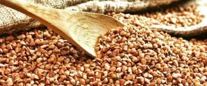 Чи корисні злаки для здоров'я організму, і яке лікувальну дію харчових злаків - my life (організму) Чи корисні злаки для здоров'я організму, і яке лікувальну дію харчових злаків - my life