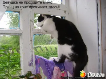 Принци на білому коні - все відразу щоденники (коні Принц білому) Принци на білому коні - все відразу щоденники