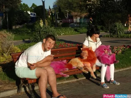 Після варварської експлуатації пляжні фотографи Геленджика покинули помирати в лісі трьох фарбованих (інформації) Після варварської експлуатації пляжні фотографи Геленджика покинули помирати в лісі трьох фарбованих