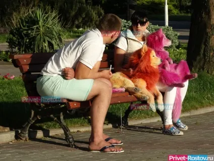 Після варварської експлуатації пляжні фотографи Геленджика покинули помирати в лісі трьох фарбованих (зв'язками) Після варварської експлуатації пляжні фотографи Геленджика покинули помирати в лісі трьох фарбованих