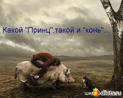 Принци на білому коні - все відразу щоденники (коні) Принци на білому коні - все відразу щоденники