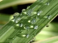 Розповідь про красу води для 2 класу (води) Розповідь про красу води для 2 класу