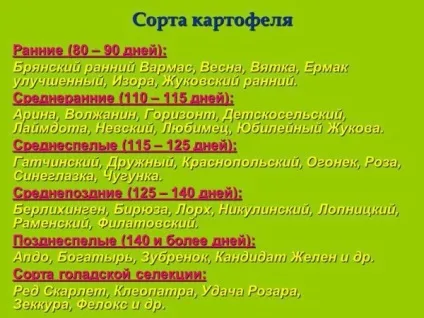 Ранні сорти картоплі найкращі варіанти, вирощування своїми руками (сорти) Ранні сорти картоплі найкращі варіанти, вирощування своїми руками