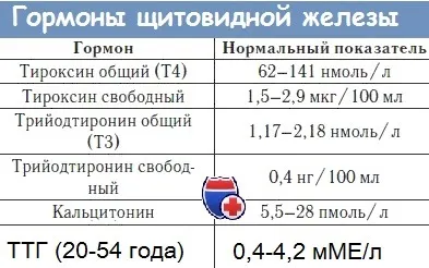 Регуляція секреції гормонів щитовидної залози (секреції) Регуляція секреції гормонів щитовидної залози