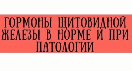 Регуляція секреції гормонів щитовидної залози (гормонів) Регуляція секреції гормонів щитовидної залози