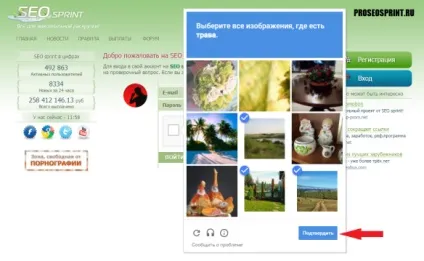 Реєстрація на seosprint реєстрація на кращому сайті, робота в інтернеті на дому без вложений