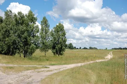 Рой вкрали, пастку розламали ..., блог сергея самойлова (пастку) Рой вкрали, пастку розламали ..., блог сергея самойлова