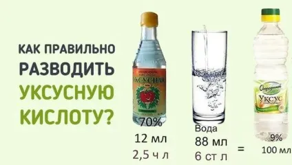 Секретний рецепт виведення вошей і гнид з допомогою оцту поради дерматовенеролога (рецепт) Секретний рецепт виведення вошей і гнид з допомогою оцту поради дерматовенеролога