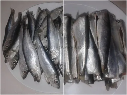 Салака домашнього посолу