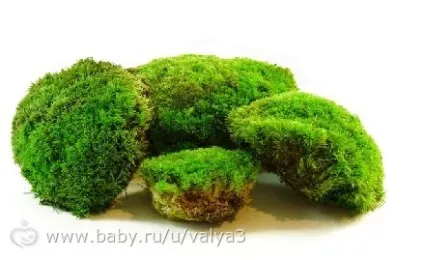 Зміст равликів (моя версія)