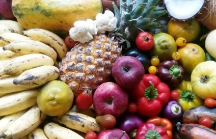 Сироїдіння користь і шкода, як почати (шкода) Сироїдіння користь і шкода, як почати