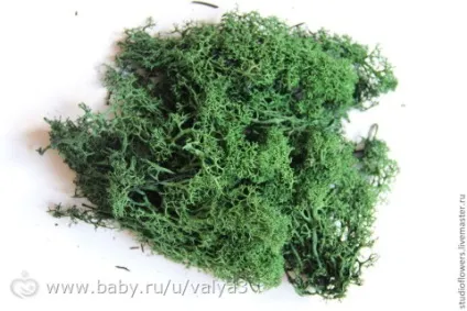 Зміст равликів (моя версія)