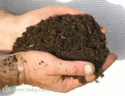 Зміст равликів (моя версія)