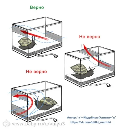 Зміст равликів (моя версія)