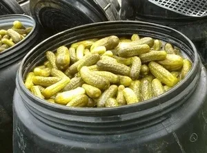 Соління огірків на зиму в бочках