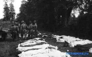 Сонник труп, тлумачення сну труп, до чого сниться і що означає сон, в якому наснилося труп (тлумачення) Сонник труп, тлумачення сну труп, до чого сниться і що означає сон, в якому наснилося труп