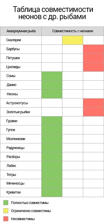 Сумісність неонов з іншими акваріумними рибками (сумісність неонов з іншими рибами) Сумісність неонов з іншими акваріумними рибками